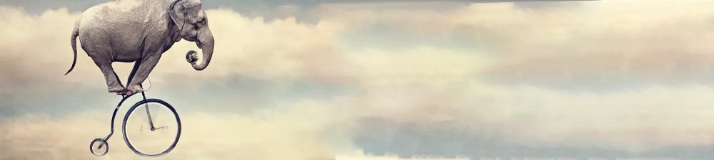 About Us Banner